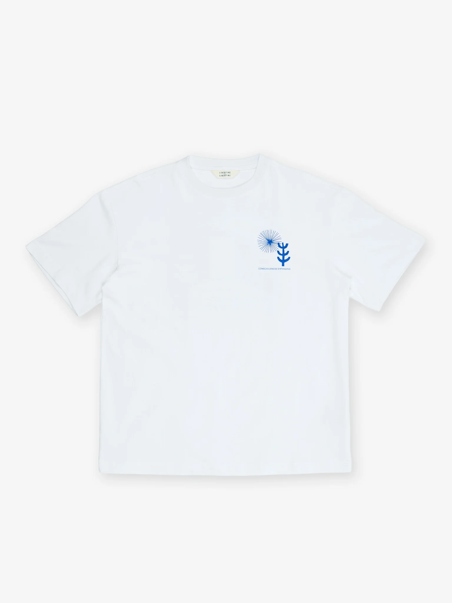Broke - Consciousness - Image 4